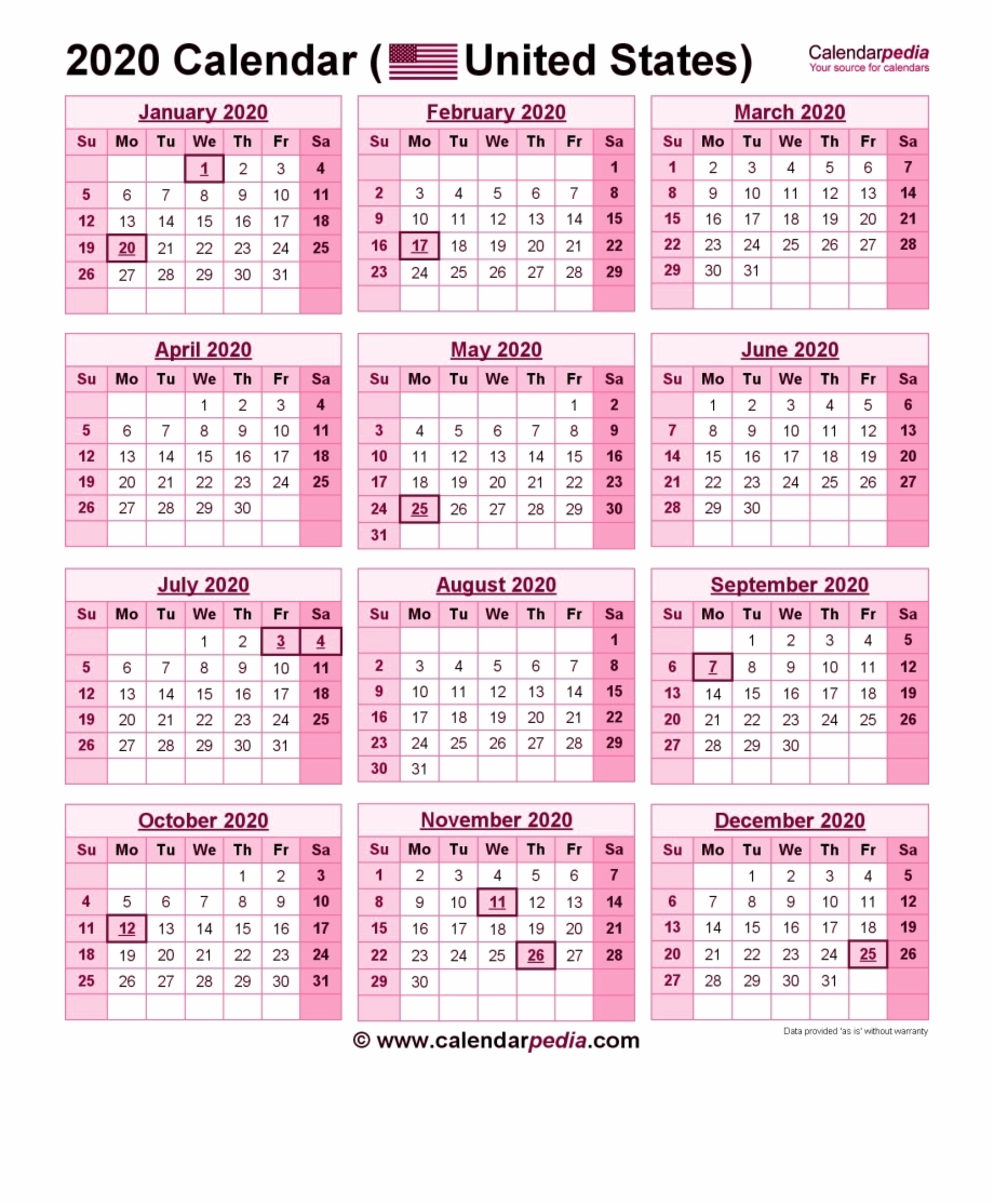 2020 Calendar Png Pic - 2019 Calendar With Government