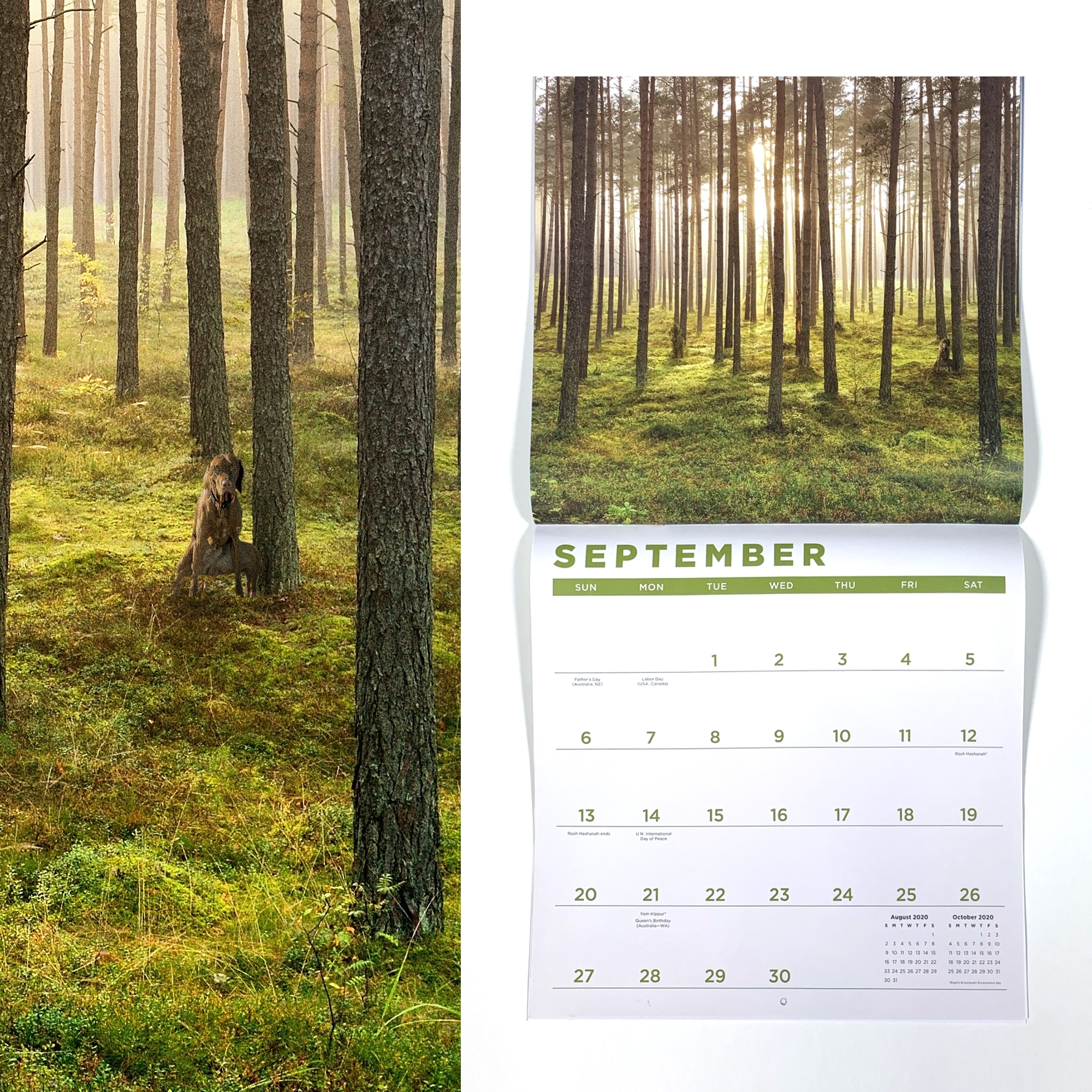 X Calendar 2020 Models Month Calendar Printable