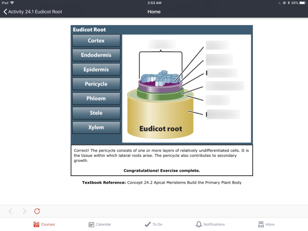 6 Groups Of Non-Land Plants Diagram | Quizlet