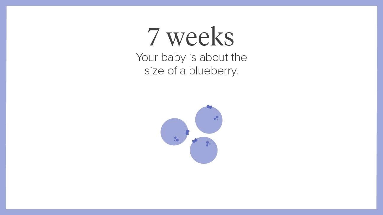 7 Weeks Pregnant: Symptoms, Tips, And More