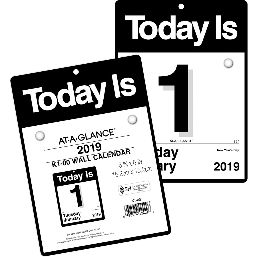 At-A-Glance Today Is Wall Calendar - Yes - Daily - 1 Year - January 2020  Till December 2020 - 1 Day Single Page Layout - 6 5/8&quot; X 9 1/8&quot; - Wall