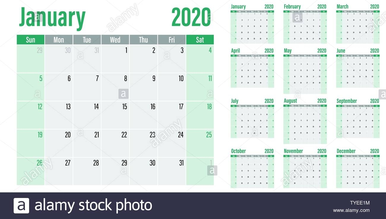 Calendar Planner 2020 Template Vector Illustration All 12