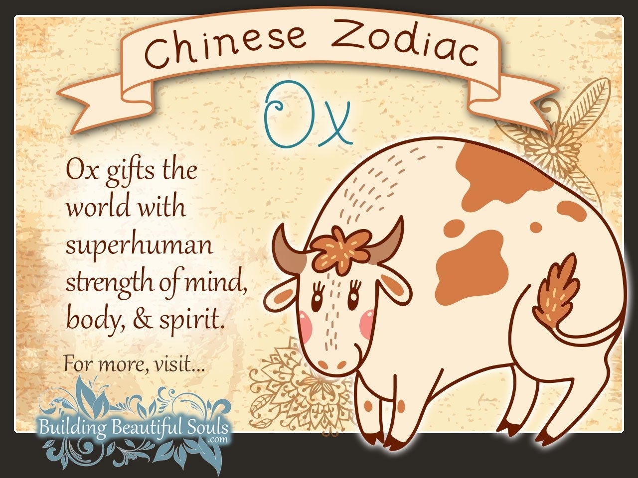 What Is The Personality Of A Ox In Chinese Zodiac