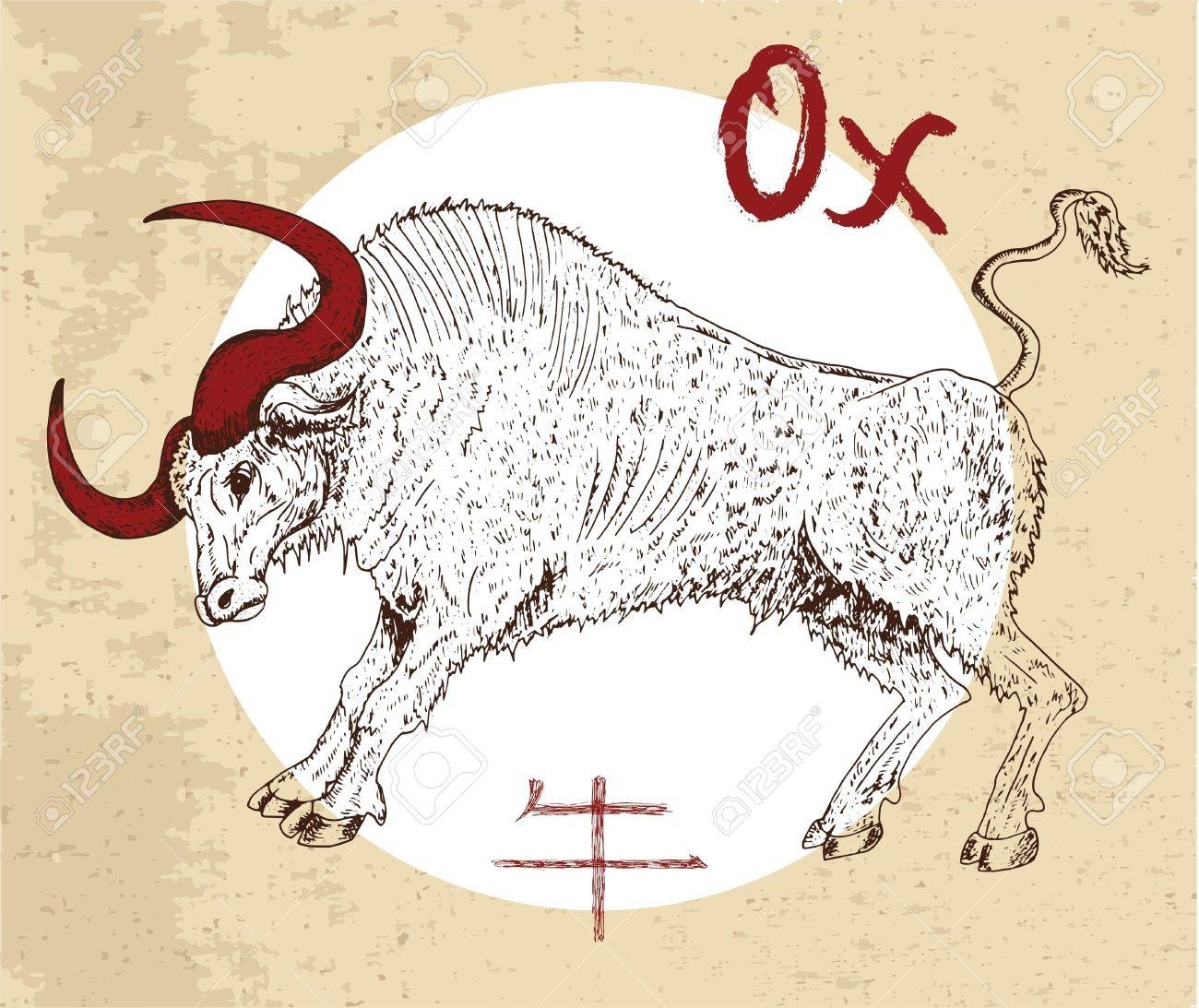 Chinese Zodiac Symbol Of Hand Drawn Ox Or Bull With Lettering