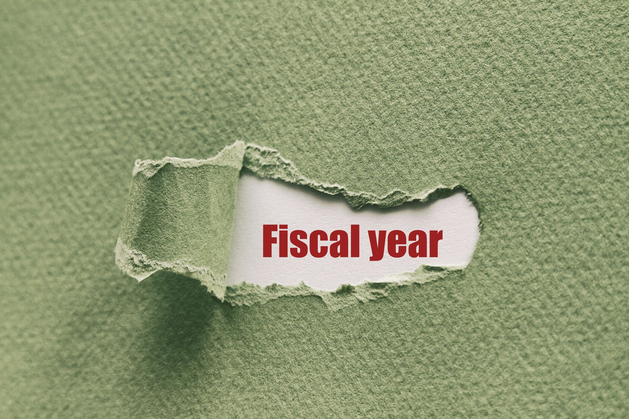 Fiscal Year (Fy) Definition