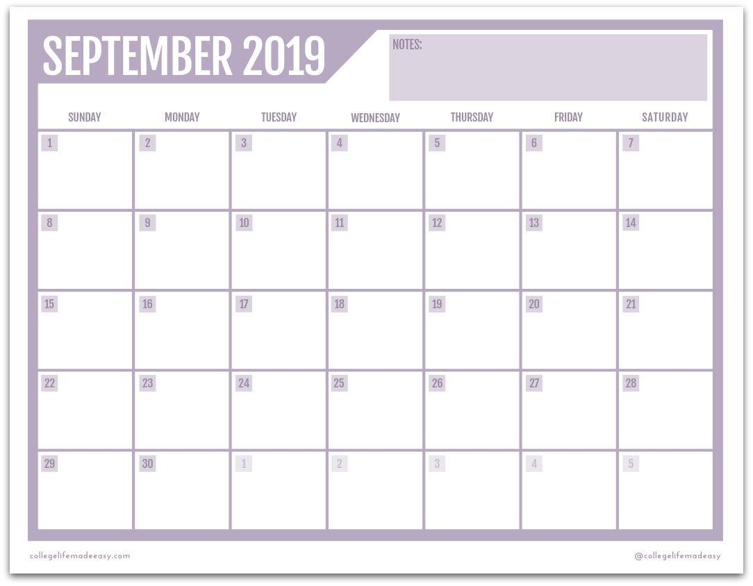 Free Printable 2019 Monthly Calendar (3 Cute Designs!)