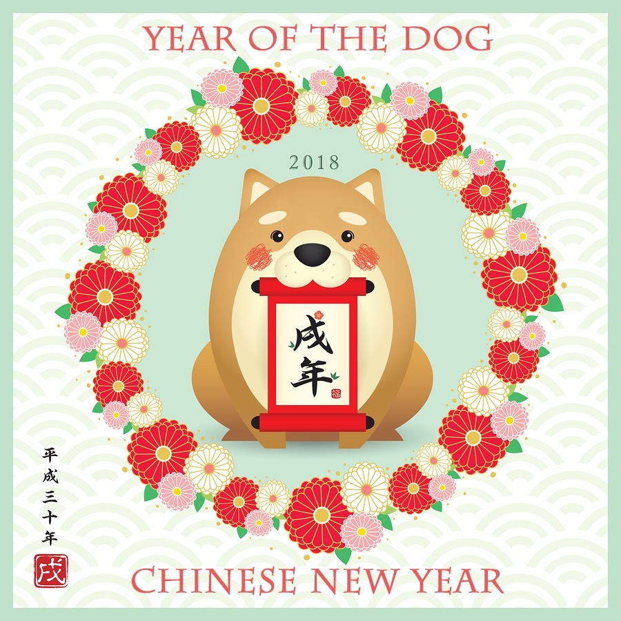 Here Be Magic: Happy Chinese Year Of The Dog!