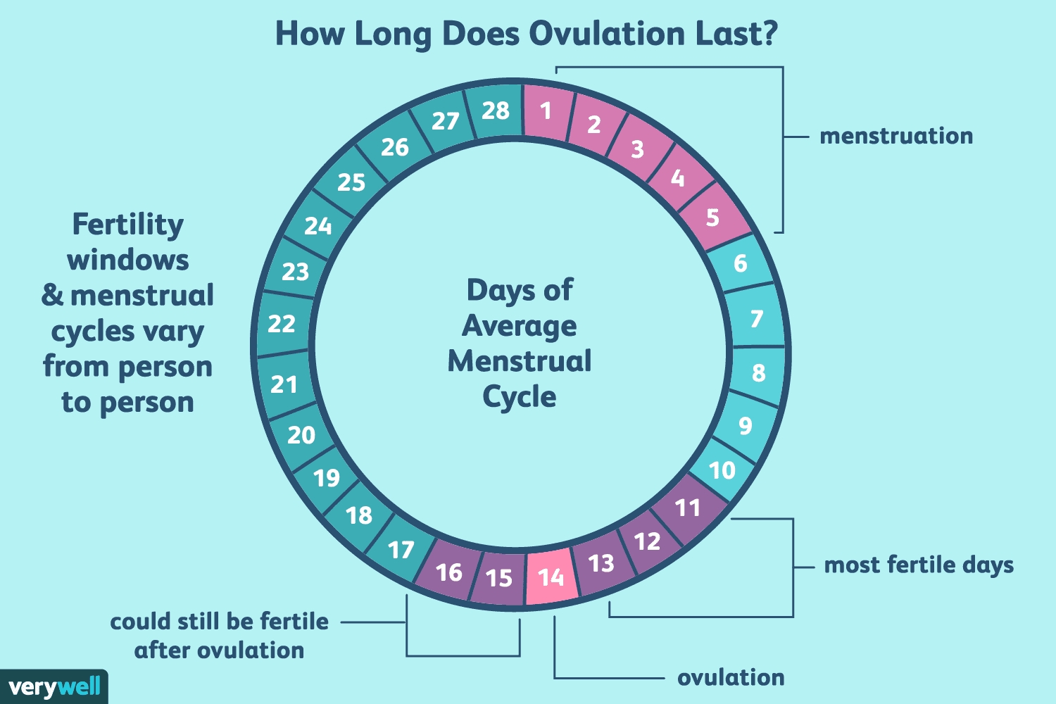 Ovulation Calendar 3 Week Cycle | Month Calendar Printable