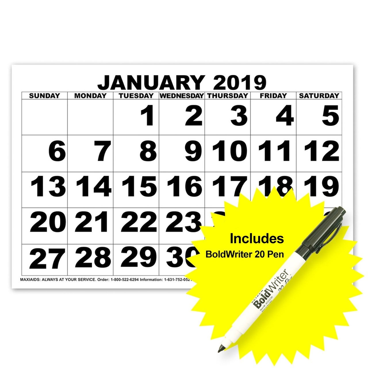 Low Vision Print Calendar - 2019 With Boldwriter 20 Pen