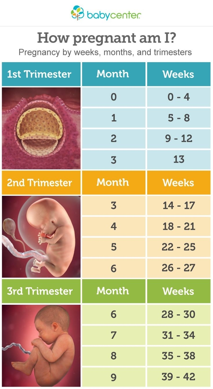 How Many Days Is 5 Months 2 Weeks