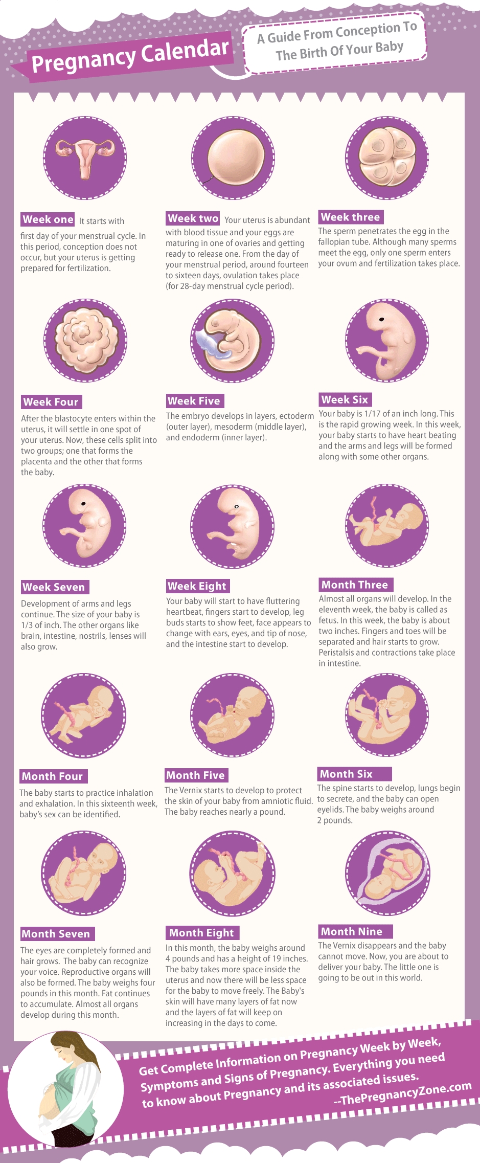 Pin On Pregnancy Guide :)