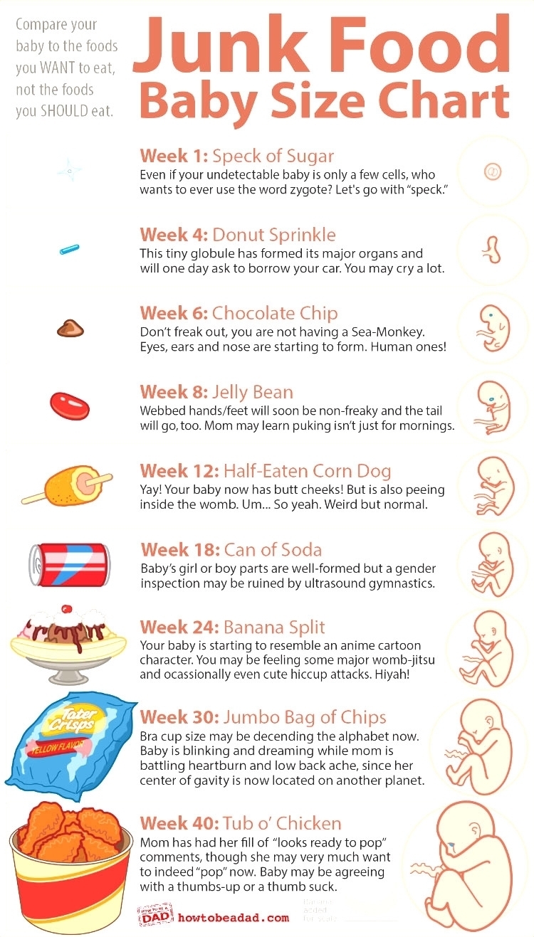 Pregnancy Calendar 8 Weeks | Month Calendar Printable