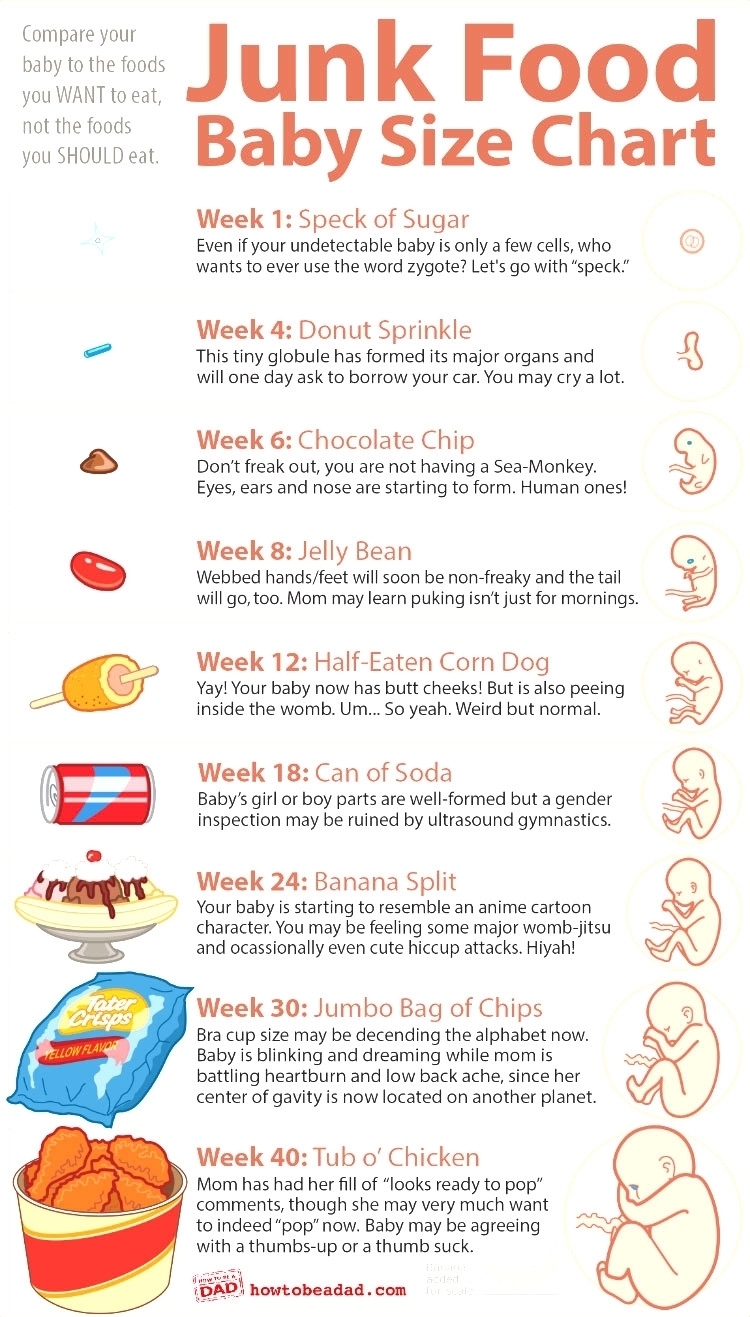 Pregnancy Calendar 8 Weeks | Igotlockedout