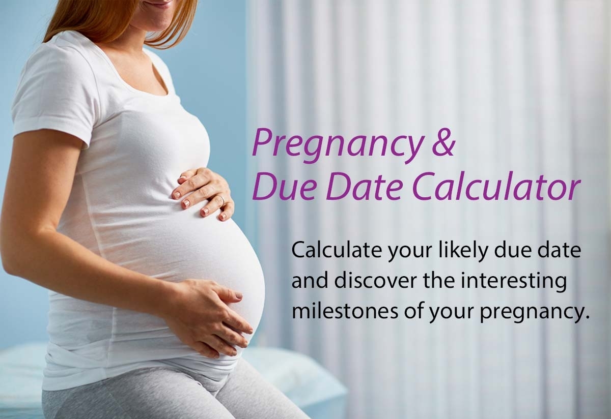 pregnancy month calculator based on due date