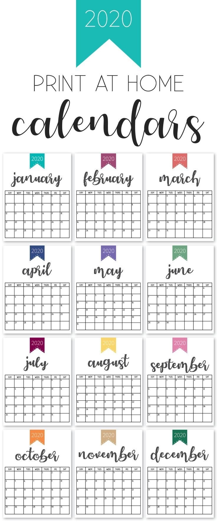 Printable 2020 Calendar | Calendar, 2019 Calendar, Printables