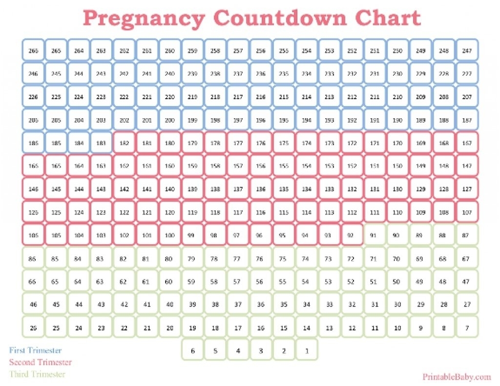 Printable Pregnancy Calendar Weekweek To Download Or