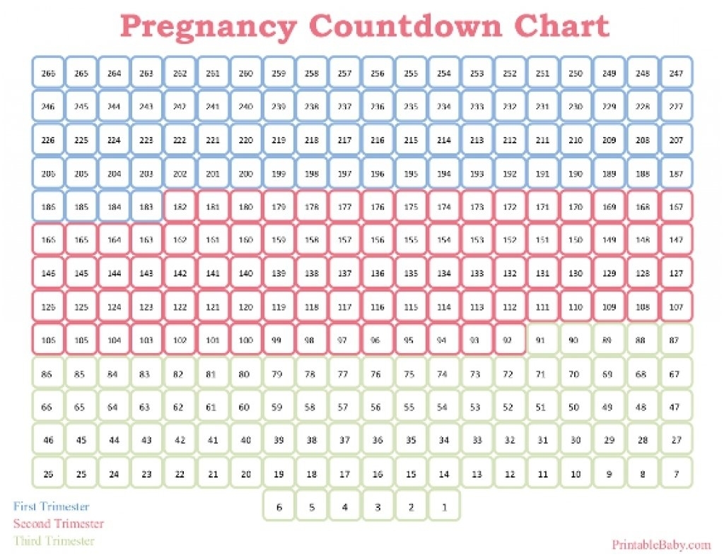 Calendar Week By Week Pregnancy