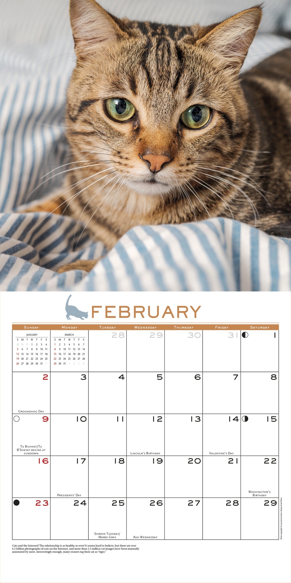 Wall Calendars — Bristol Park Books