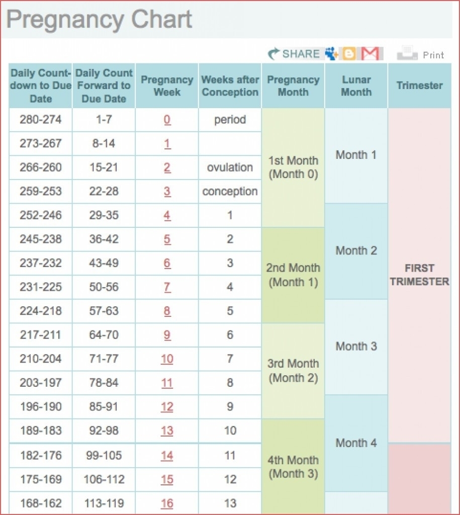 Weekweek Pregnancy Calendar | Calendar Printing Example