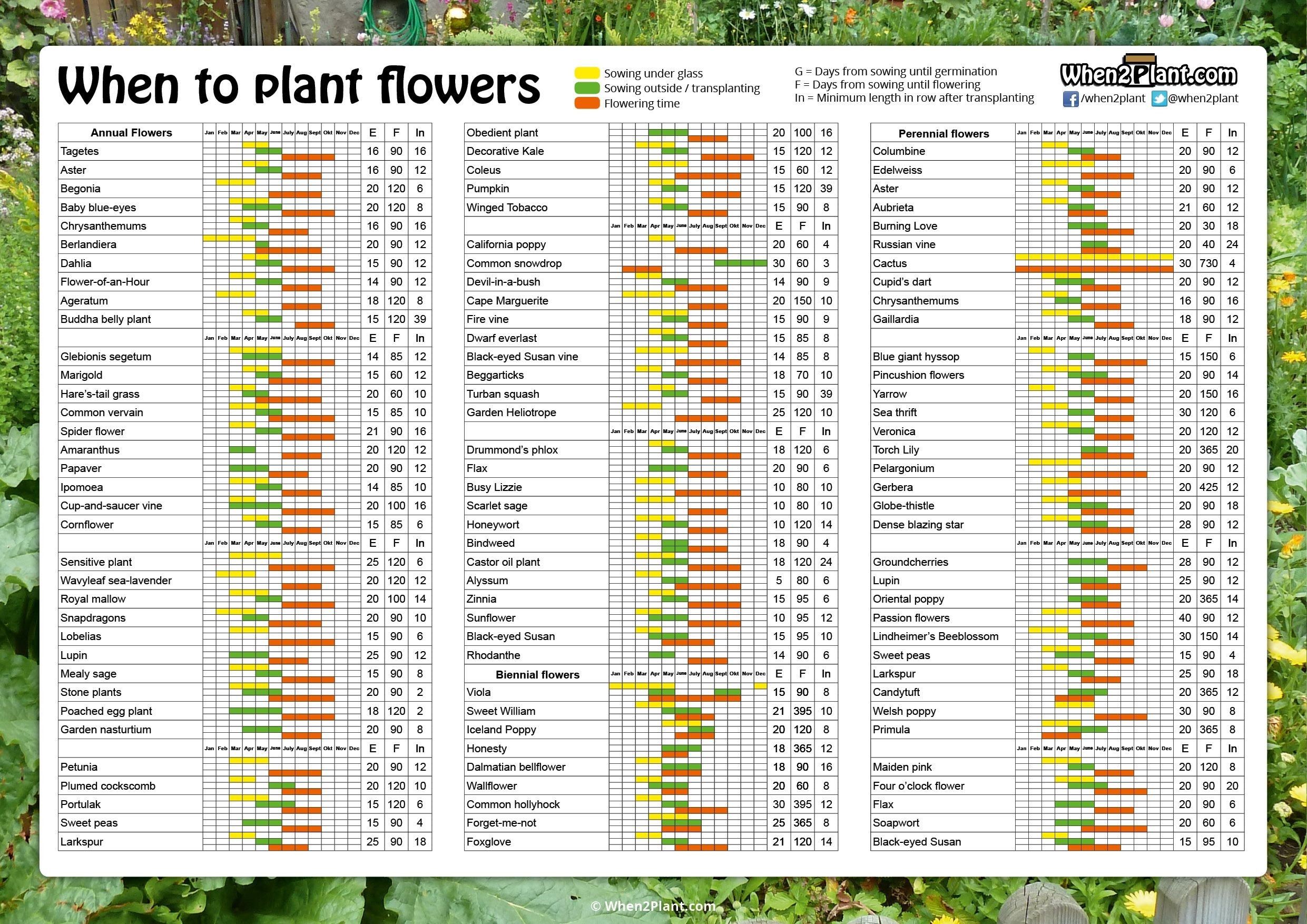 When To Plant Flowers. Sowing Calendar. Seeds Pots List 1