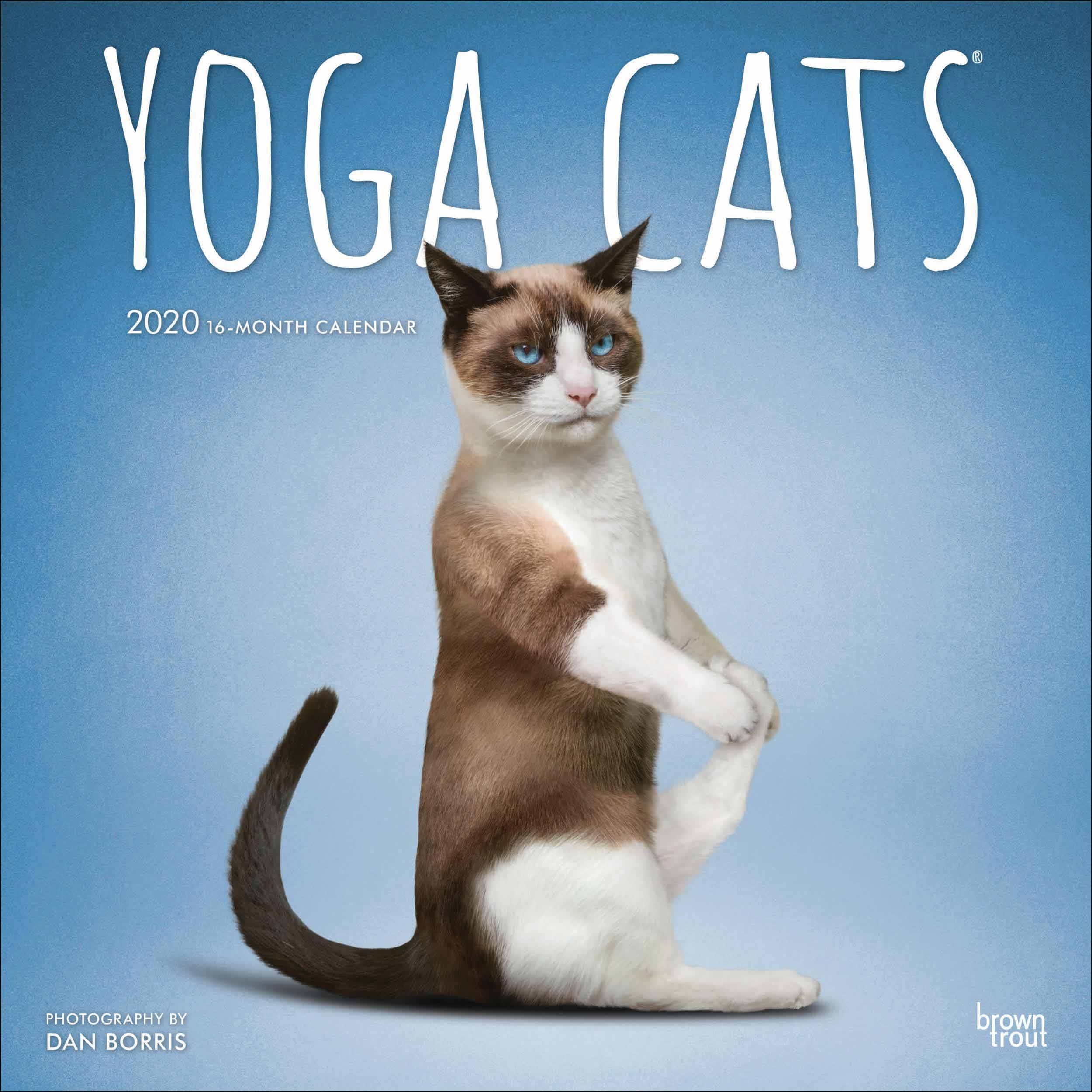 Yoga Cats Calendar 2020