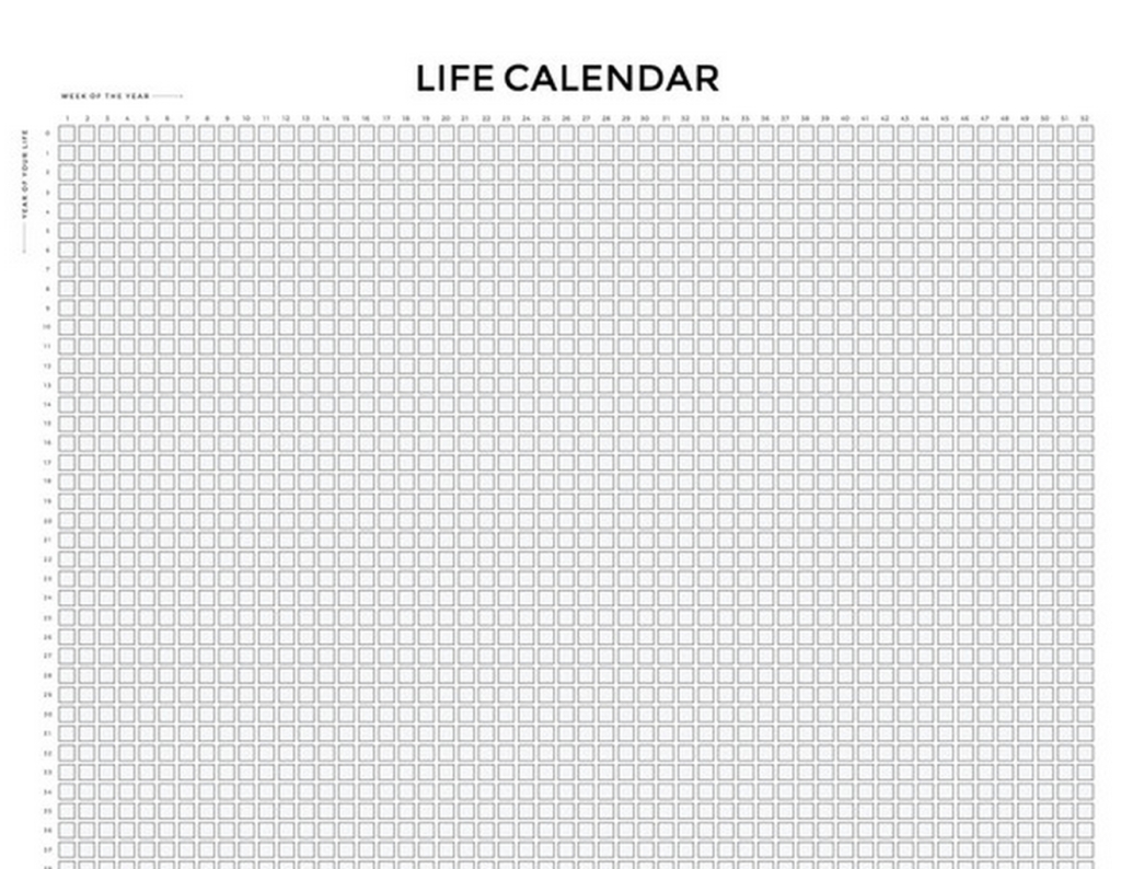 Life Calendar Printable