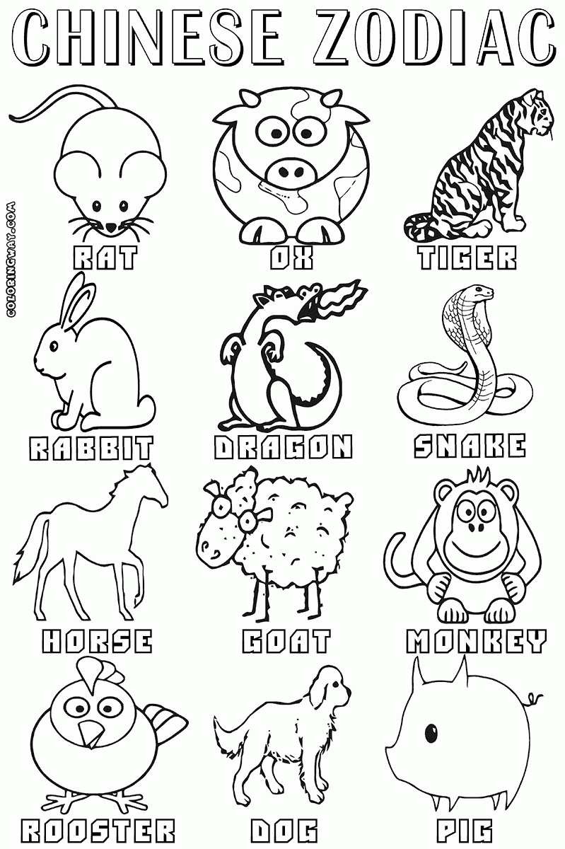 Chinese Zodiac Calendar Worksheet