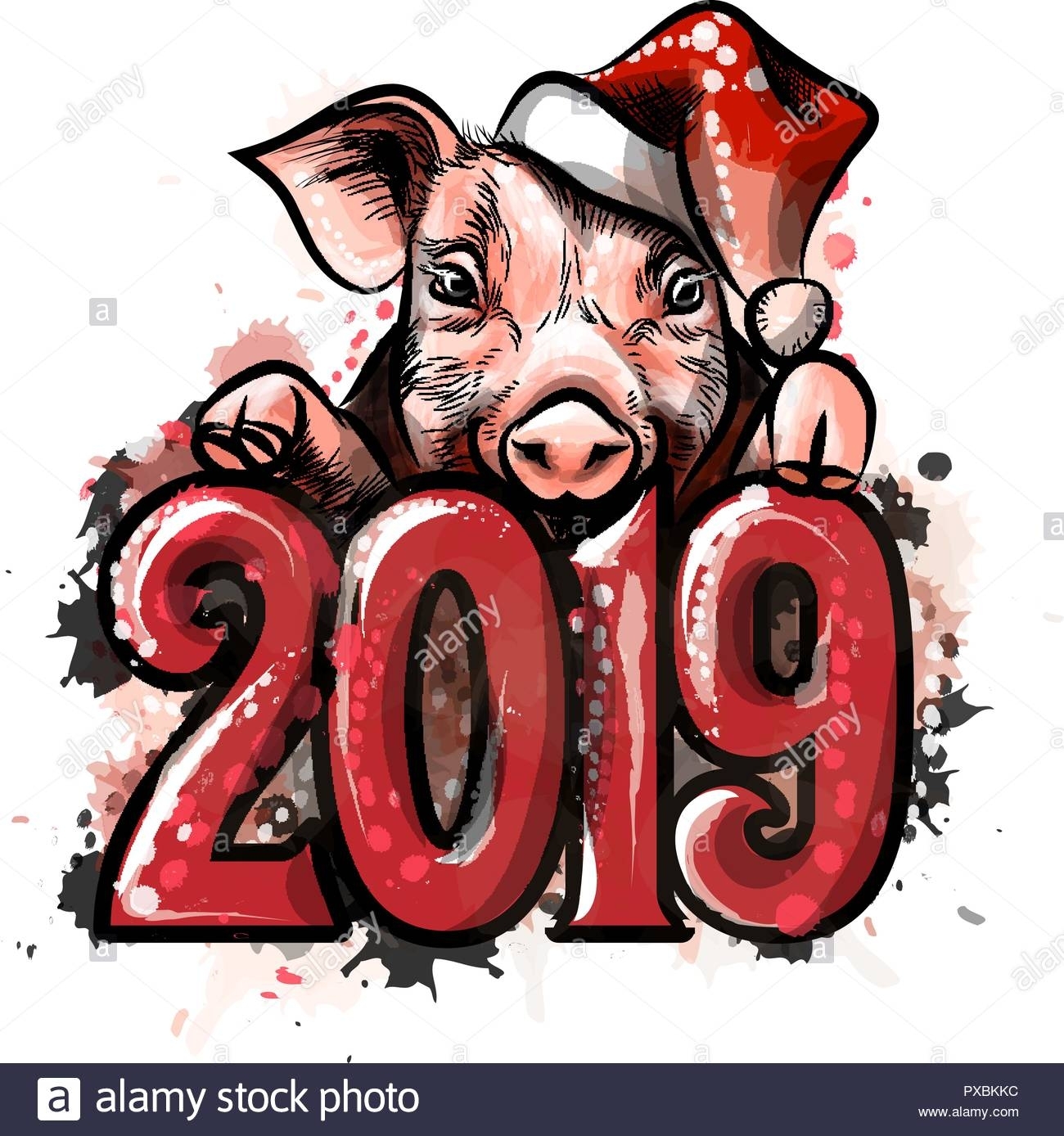 Chinese Zodiac Sign Year Of Pig, Happy Chinese New Year 2019