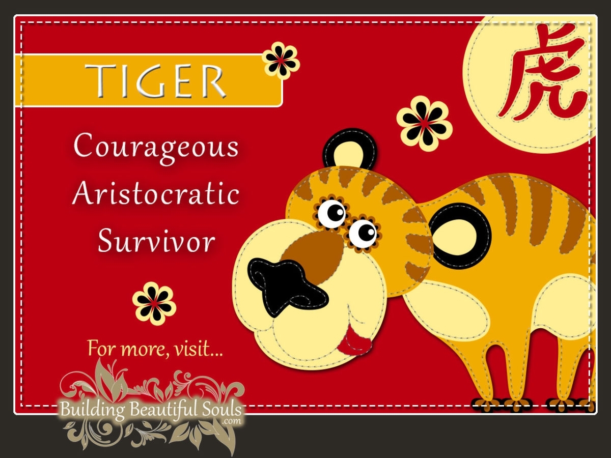 Chinese Zodiac Tiger | Year Of The Tiger | Funny Horoscopes
