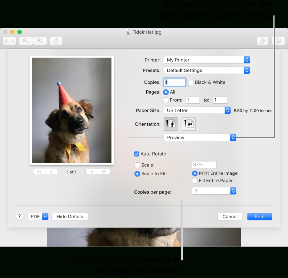 Choose Advanced Print Settings On Mac - Apple Support