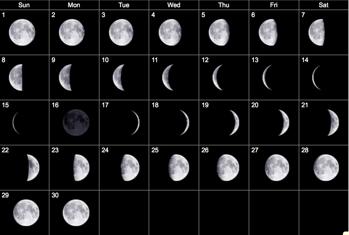 Lunar Calendar Zodiac Killer Month Calendar Printable