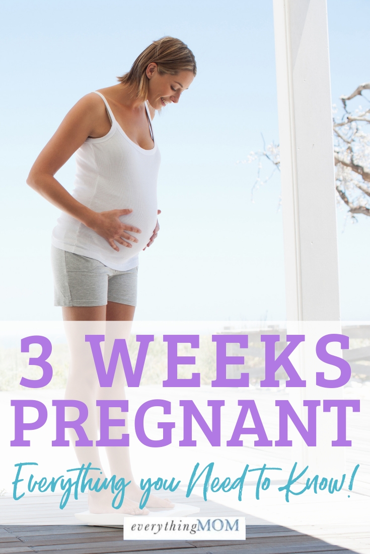 Pin On Pregnancy Calendar (Your Pregnancy From Week 1 To