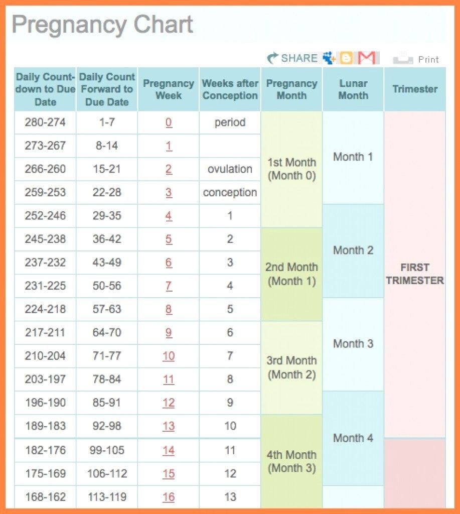 Pregnancy Calendar Week 8 Month Calendar Printable