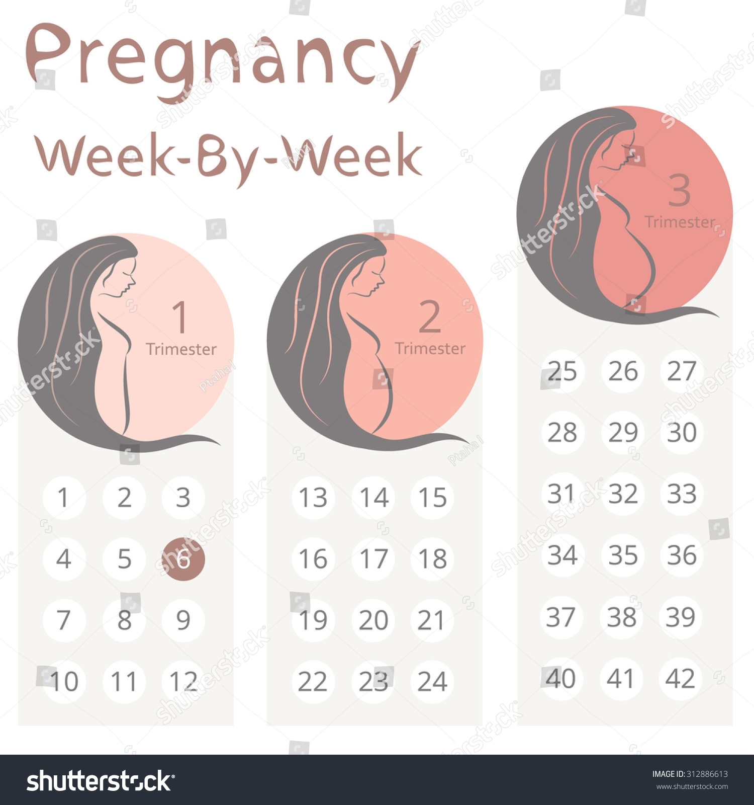 Pregnancy Calendar 3 Weeks Month Calendar Printable 