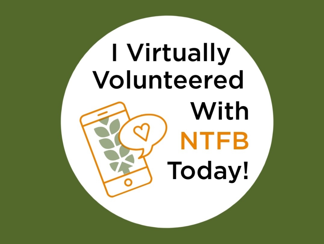 Volunteer At Ntfb | North Texas Food Bank