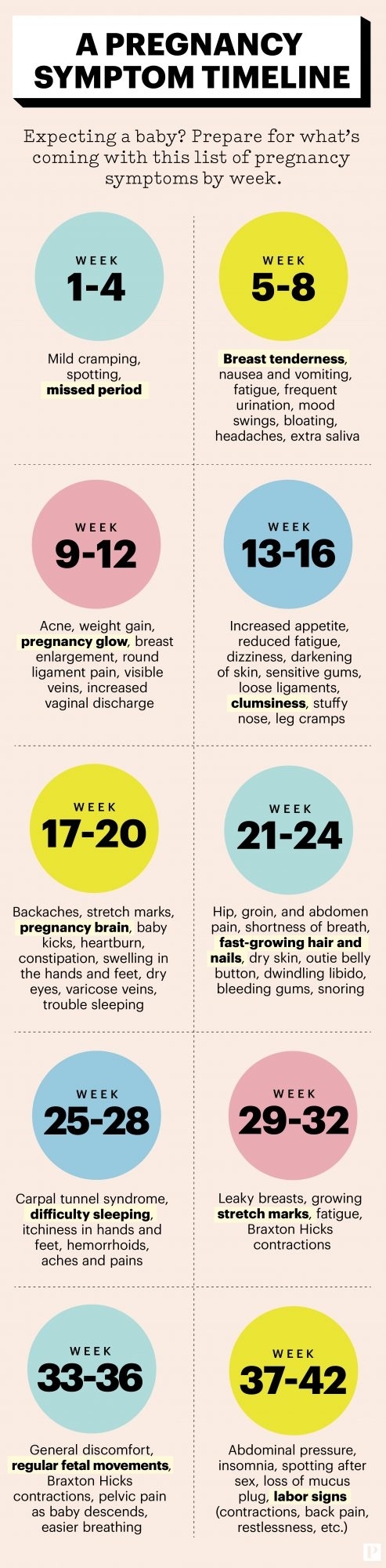 Your Pregnancy Symptoms Weekweek | Parents