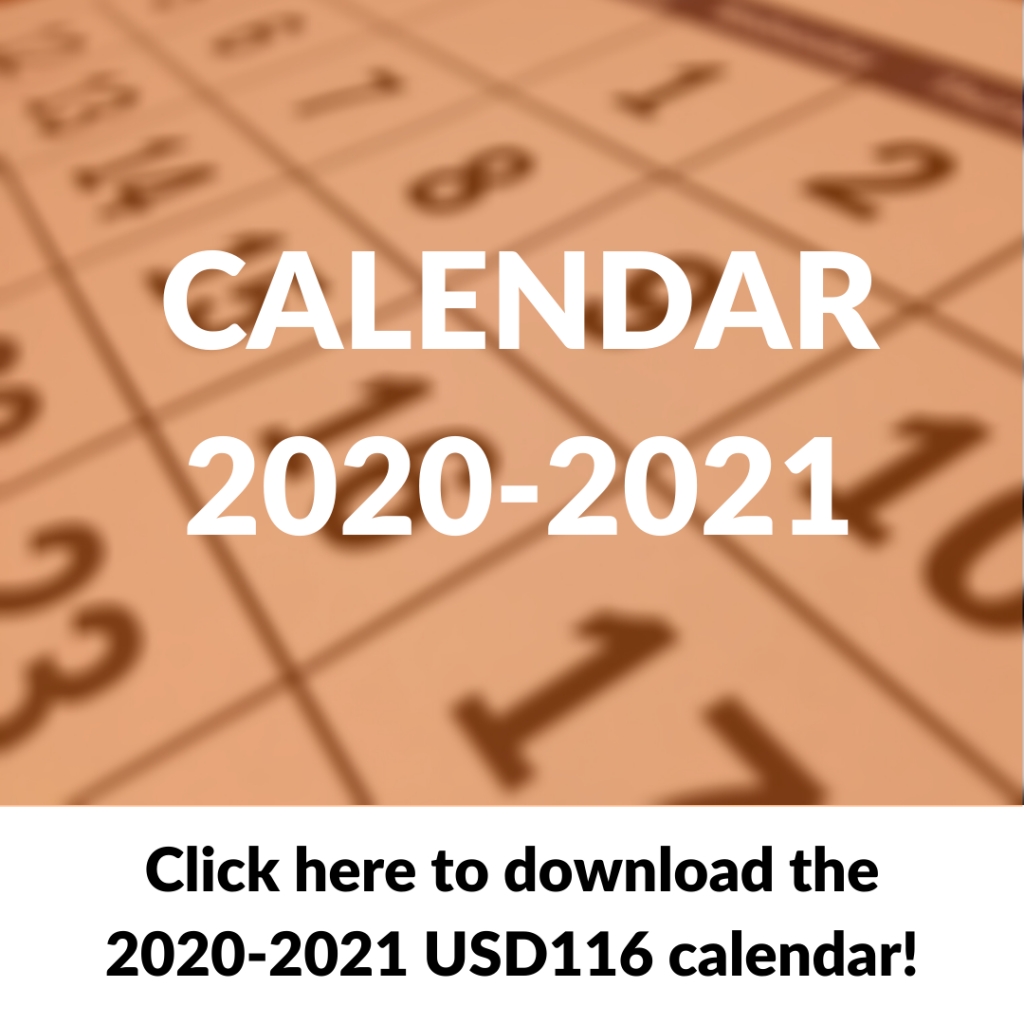 Champaign School Calendar 2025