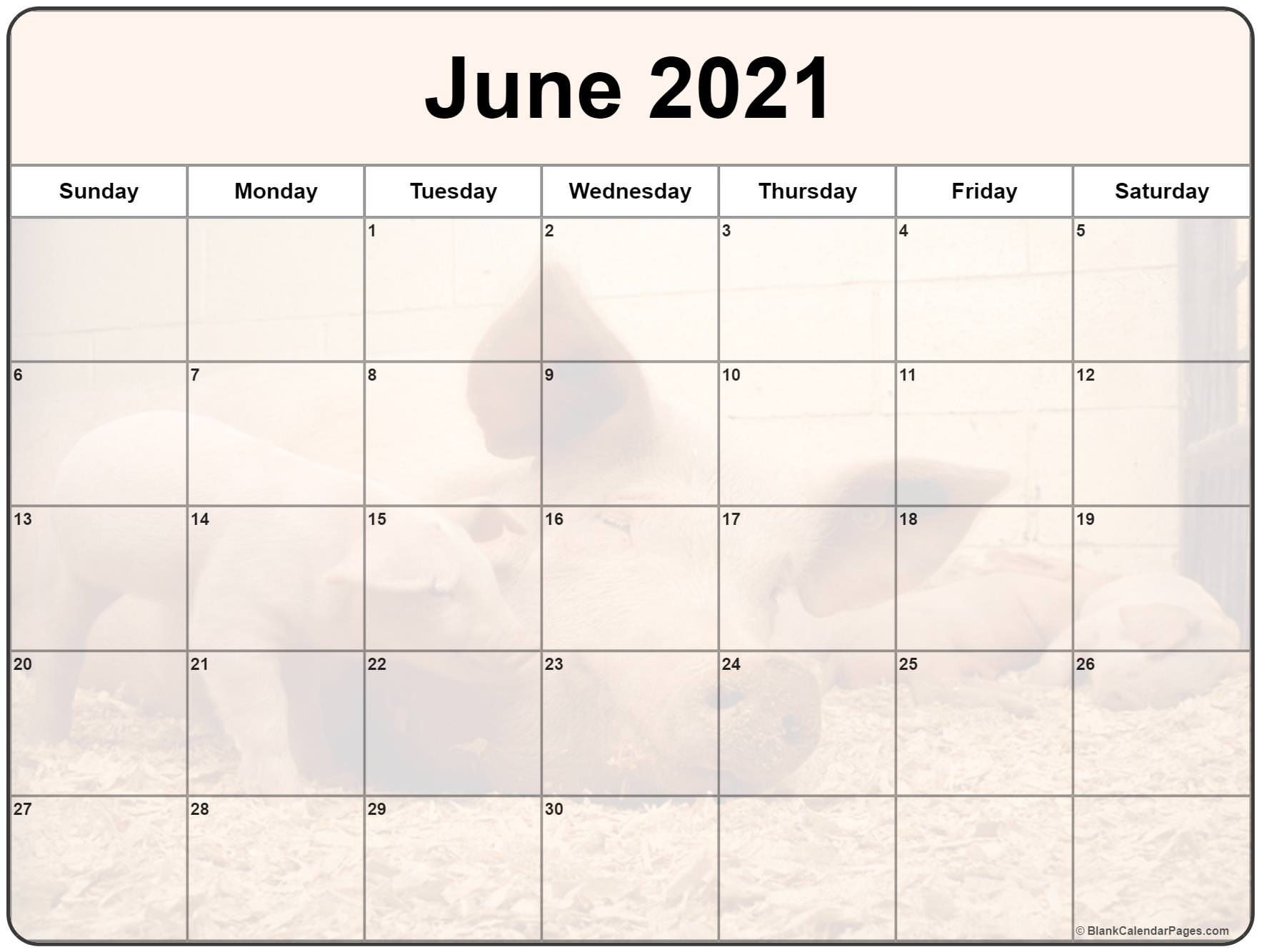 Collection Of June 2021 Photo Calendars With Image Filters.