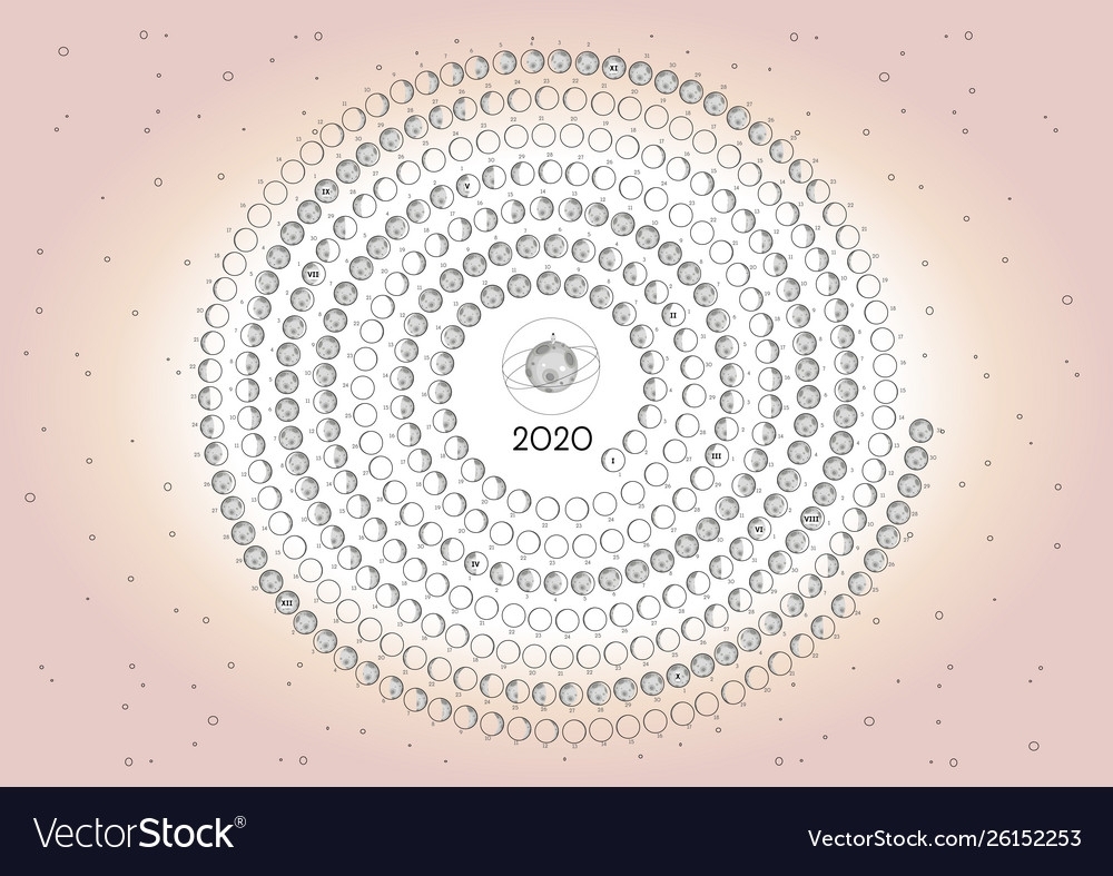 Moon Calendar 2020 Southern Hemisphere Pink Vector Image