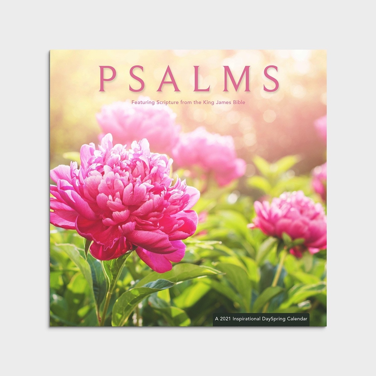 Psalms - Kjv - 2021 Wall Calendar