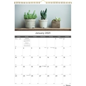 Rediform Succulent Plants Wall Calendar - Monthly - 1 Year - January 2021  Till December 2021 - 1 Month Single Page Layout - Twin Wire - Multi -