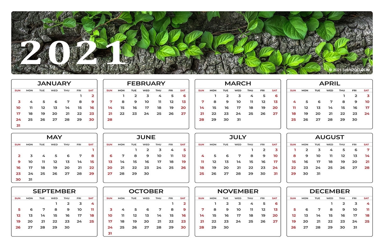 2021 Calendar At A Glance 11X17 Month Calendar Printable