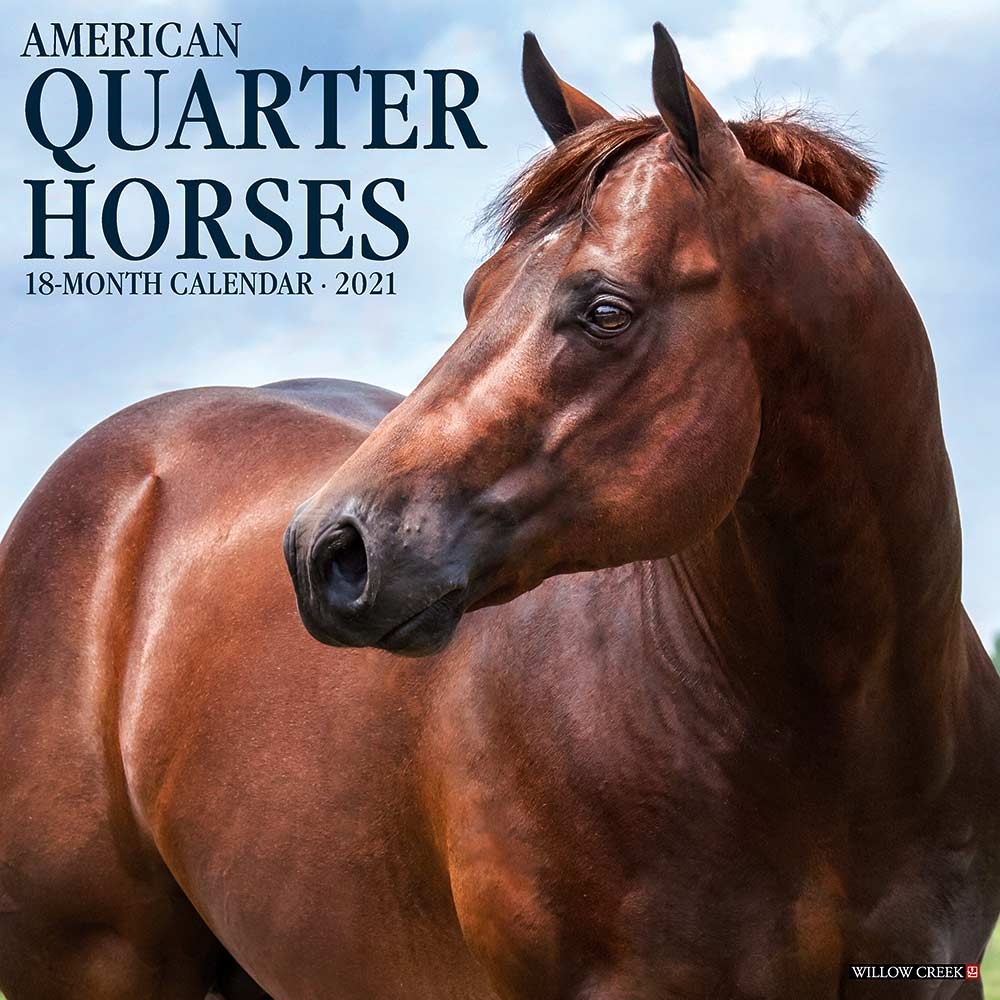 American Quarter Horses Calendar 2021 Willow Creek