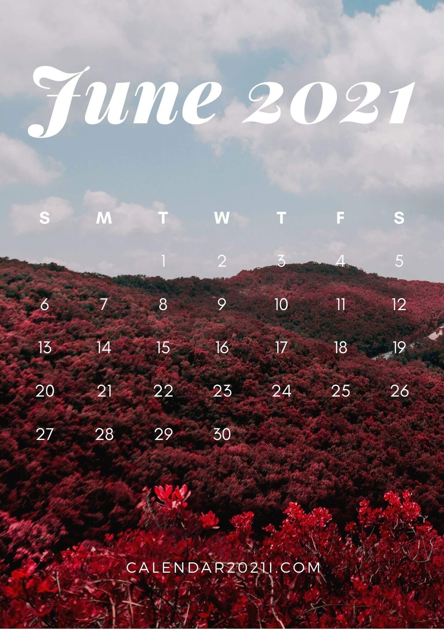 Cute June 2021 Calendar Floral Wallpaper For Desktop