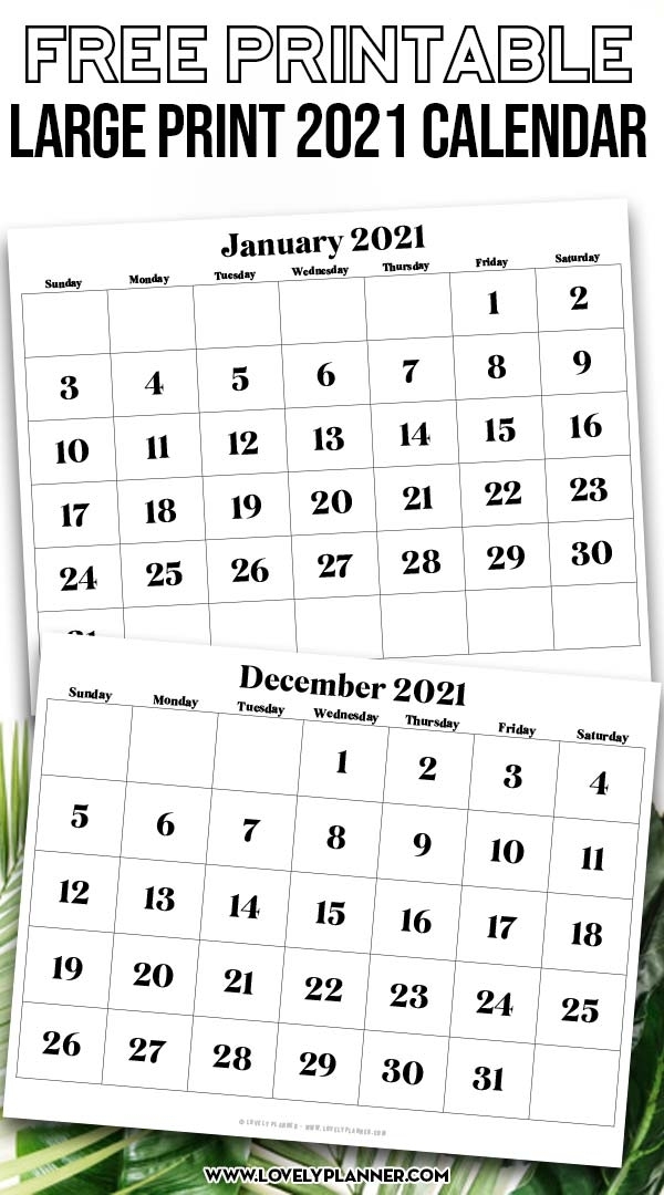 Free Printable Large Print 2021 Calendar - 12 Month
