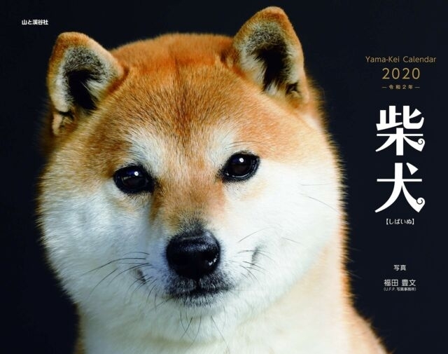 Shiba Dog 2020 Japanese Calendar Shiba Inu From Japan | Ebay