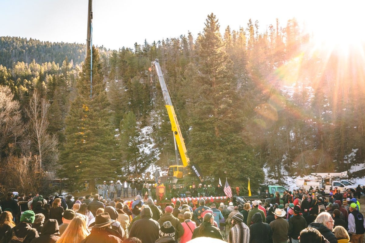 The Us Capitol Christmas Tree Is Coming From Red River