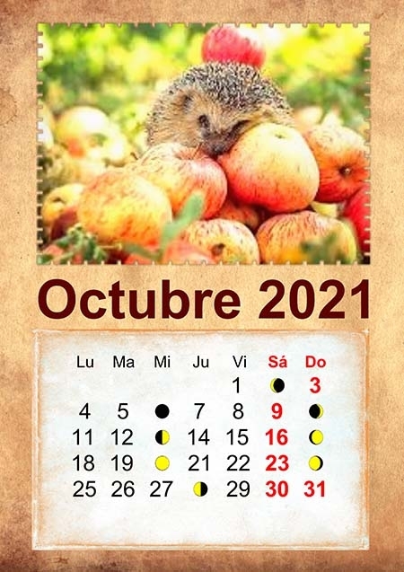 Calendarios 2021 Con Fotos Creados En Photo Calendar Creator