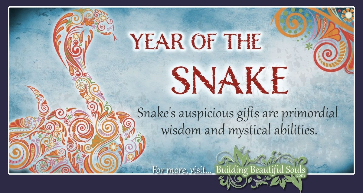 Chinese Zodiac Snake | Year Of The Snake | Chinese Zodiac