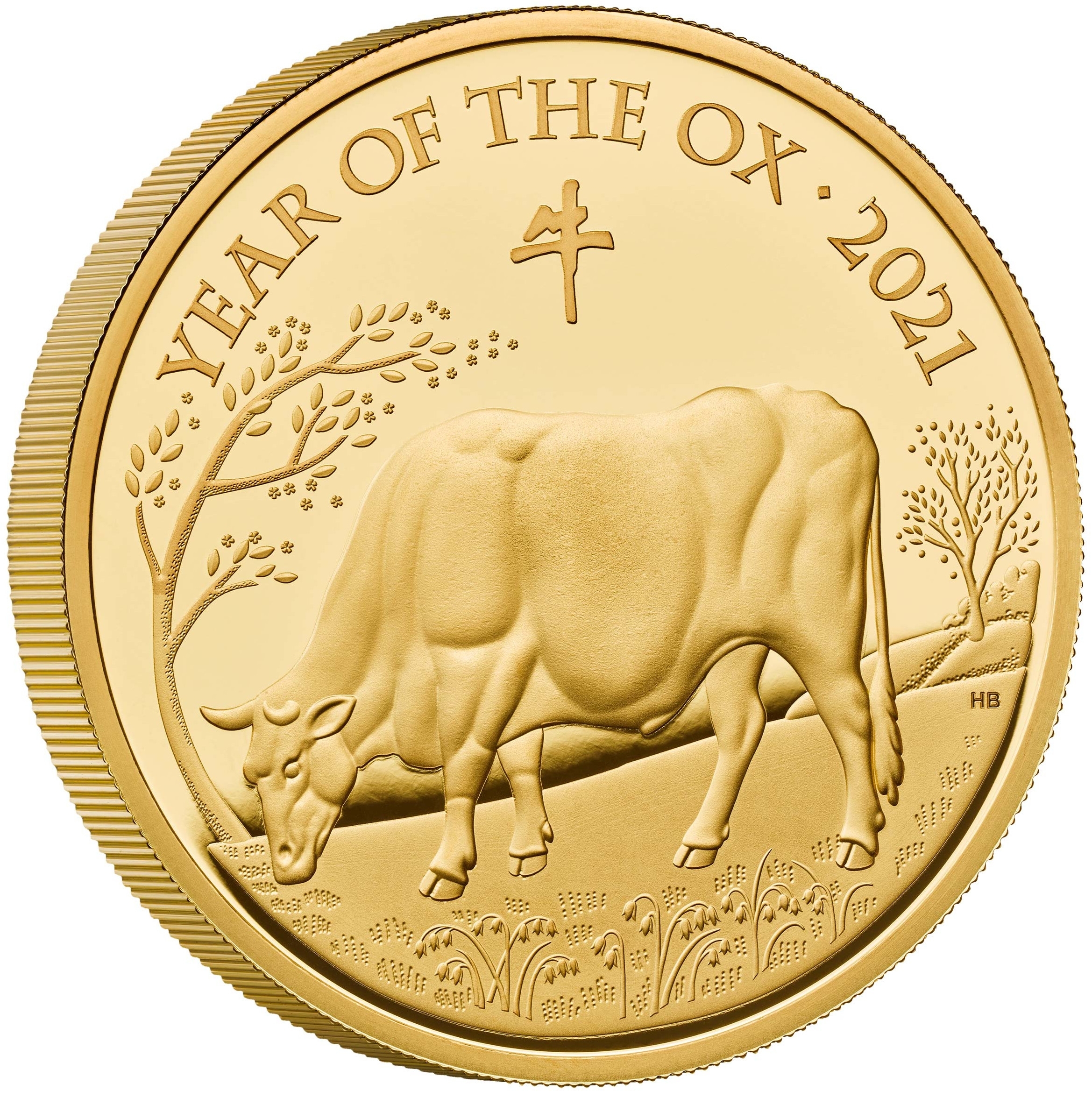 Gold Five Ounces 2021 Year Of The Ox, Coin From United